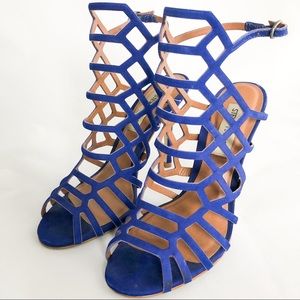 Steve Madden Slithur Caged Heels